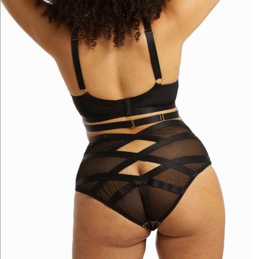 NWT Gabifresh x playful promises Brooklyn panty